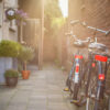 Fahrrad Online Disounter: Günstige Alternative beim Fahrradkauf