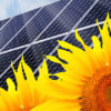 Mit Solarenergie Geld sparen und die Umwelt schonen