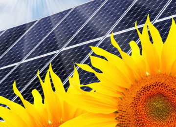 Mit Solarenergie Geld sparen und die Umwelt schonen
